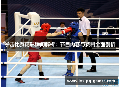 拳击比赛精彩瞬间解析：节目内容与赛制全面剖析