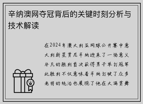 辛纳澳网夺冠背后的关键时刻分析与技术解读